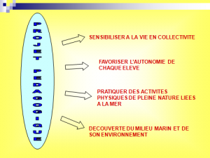 Sans titre