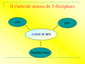 Sans titre